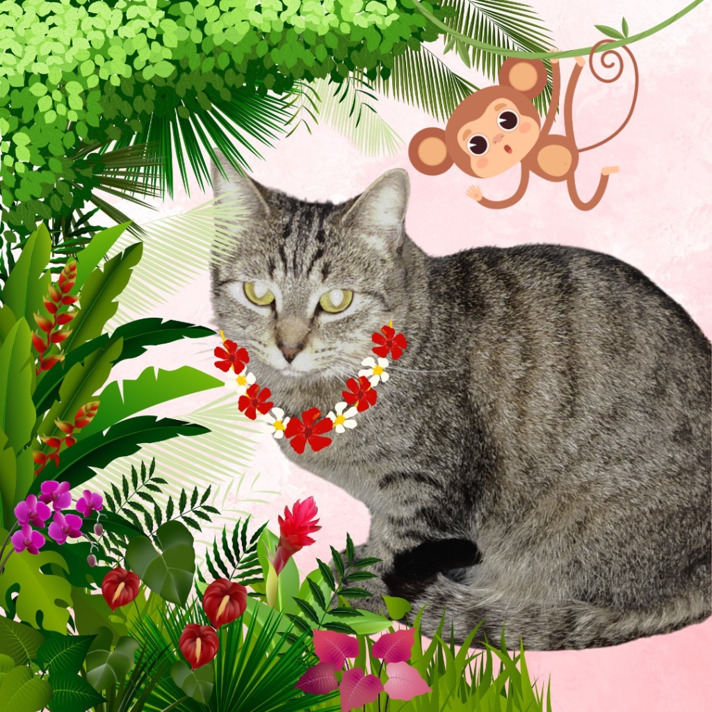 Tinsel