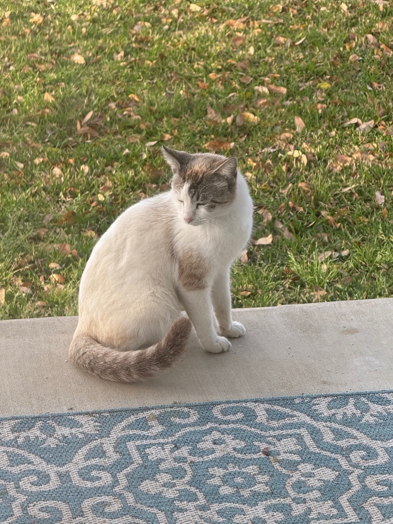 Aggie