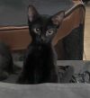 Toothless photo 2