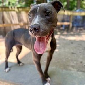 Skyy, Young Female unknown