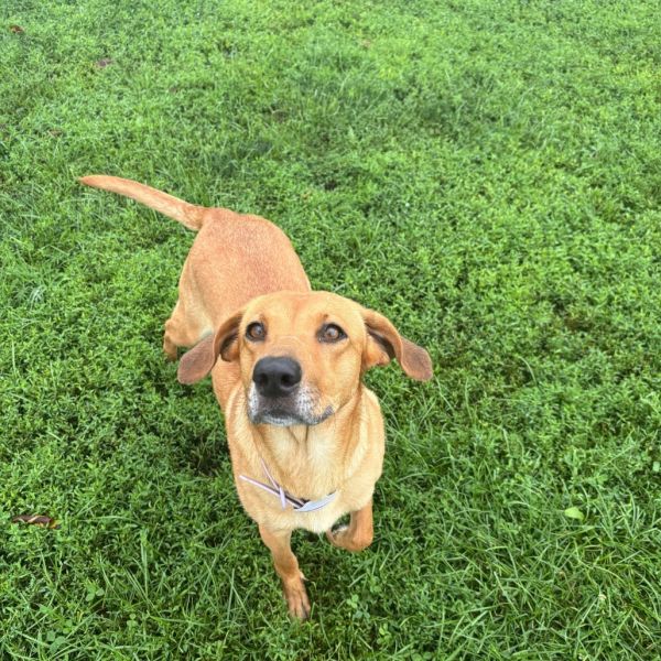 Florence thumbnail 2