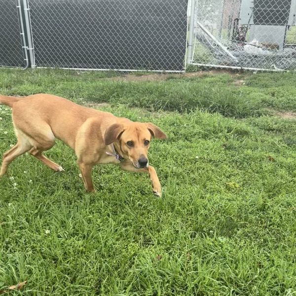 Florence thumbnail 4