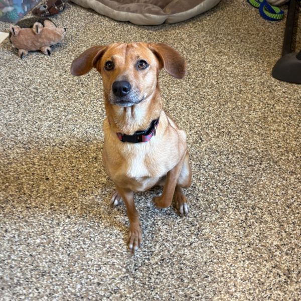 Florence thumbnail 6