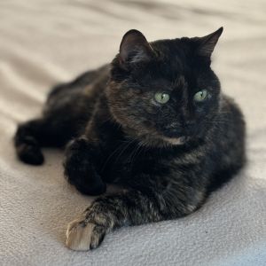 Eliza, Senior Female unknown