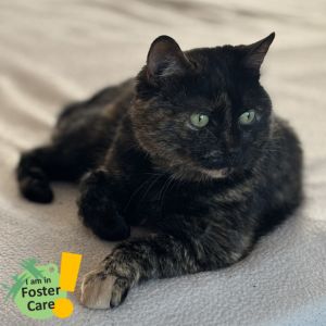 Eliza, Senior Female unknown