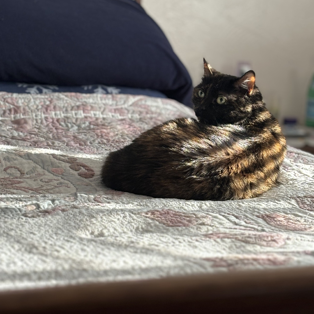 Eliza