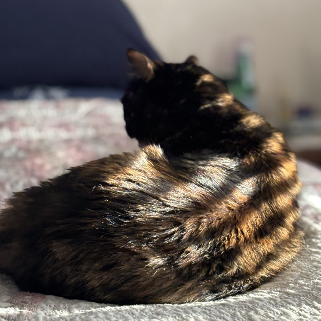 Eliza