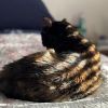 Eliza photo 6