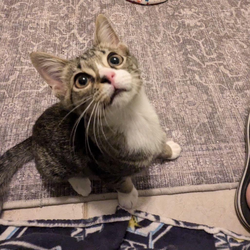 Sherman