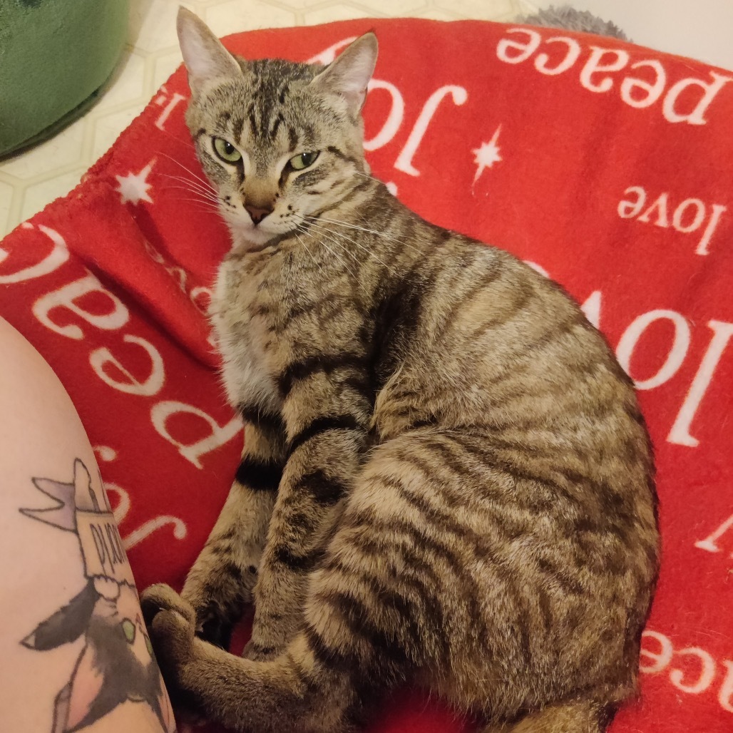 Anya C65560