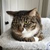 Ember - Home to Home photo 1