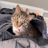 Ember - Home to Home photo 2