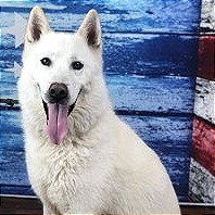 Casper 1