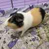 Kevin photo 1