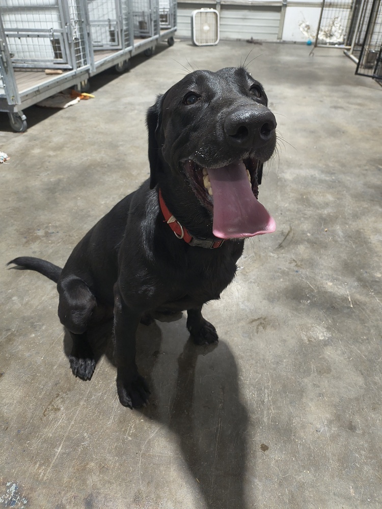 Zeus