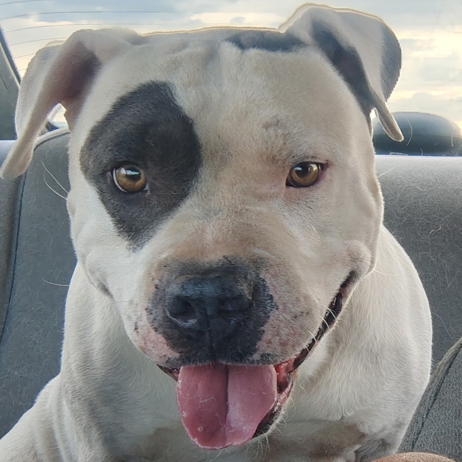 Chico