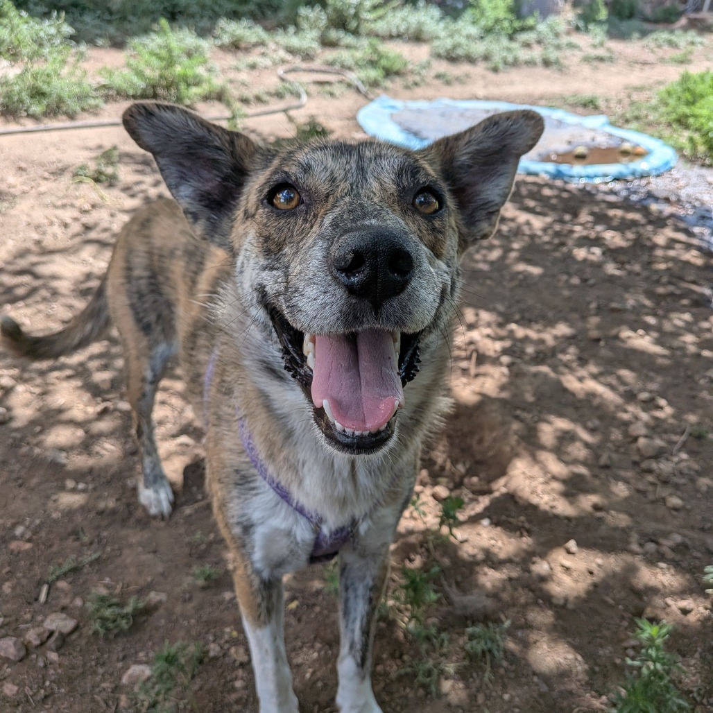 Daisy Duke - Pretty Girl!