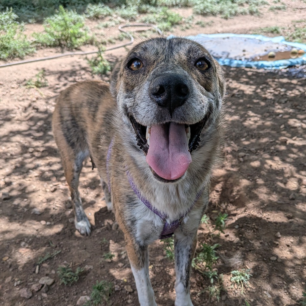 Daisy Duke - Pretty Girl!