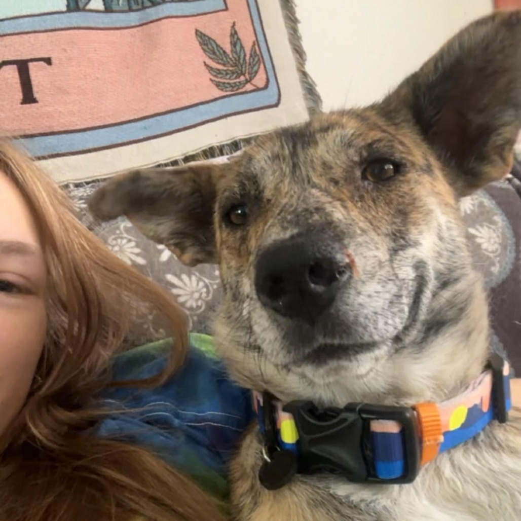 Daisy Duke - Pretty Girl!