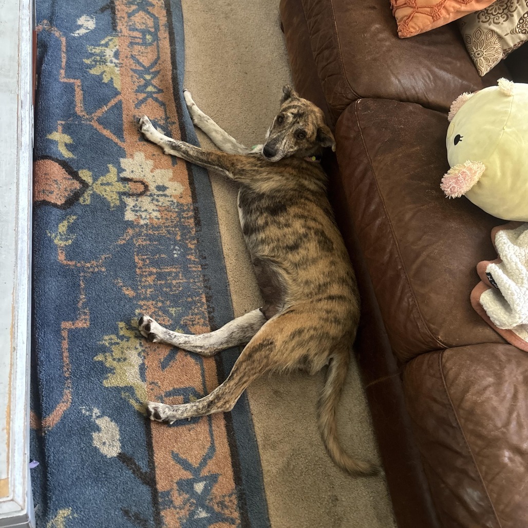 Daisy Duke - Pretty Girl!
