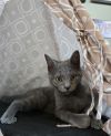 Wink photo 1