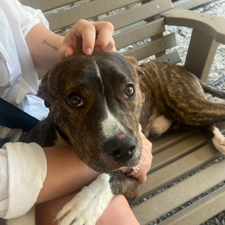 Marley