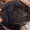 Thor photo 2
