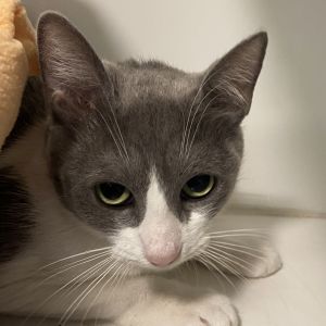 Chikadee is a gentle 2-year-old soul who finds comfort in lifes quiet moments 