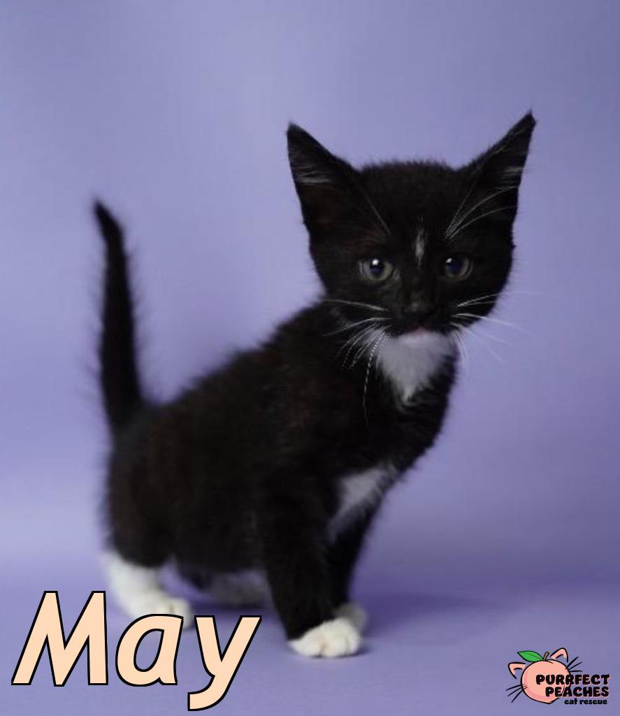 May
