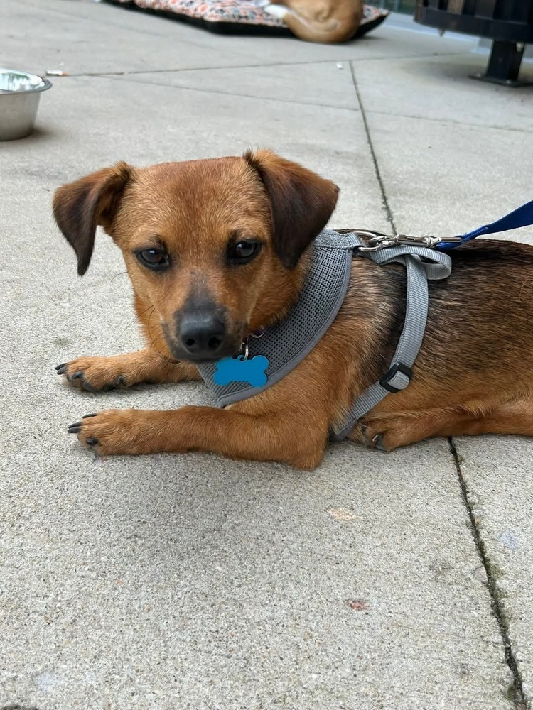 Benny