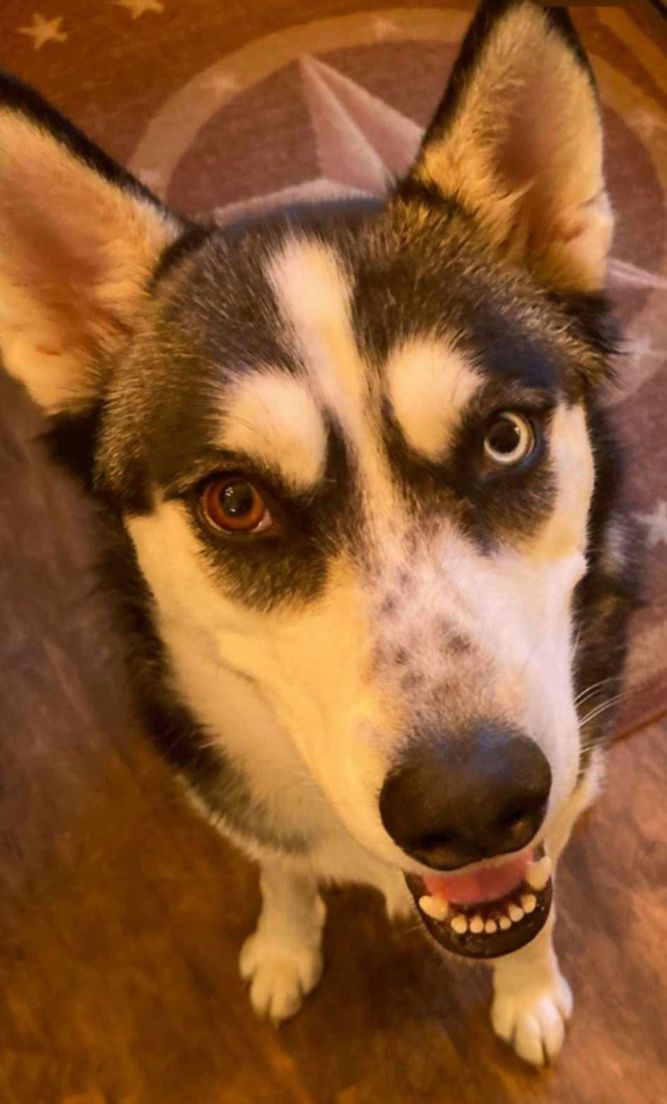 Azula