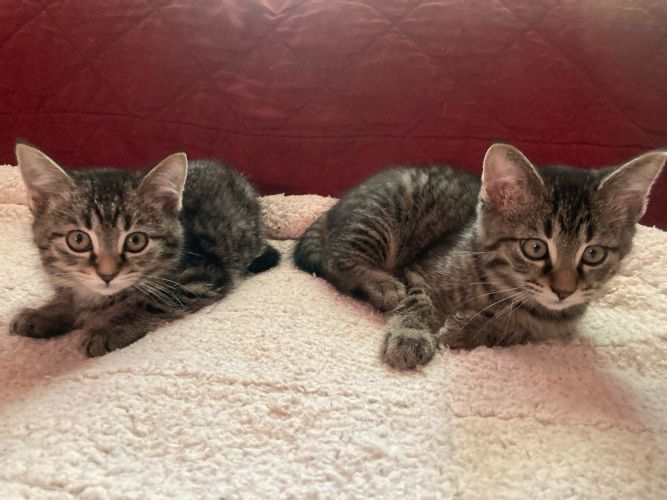 Mia & Milo