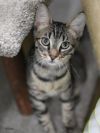 Fritz photo 1