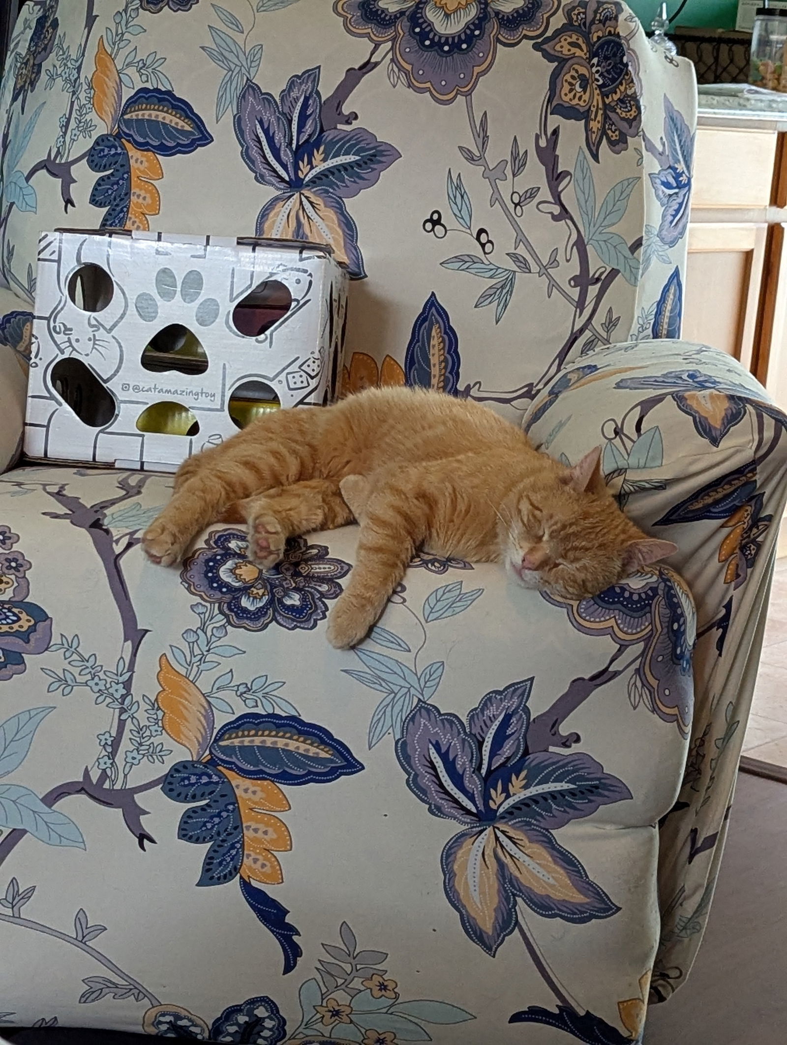 Hobbes- courtesy post