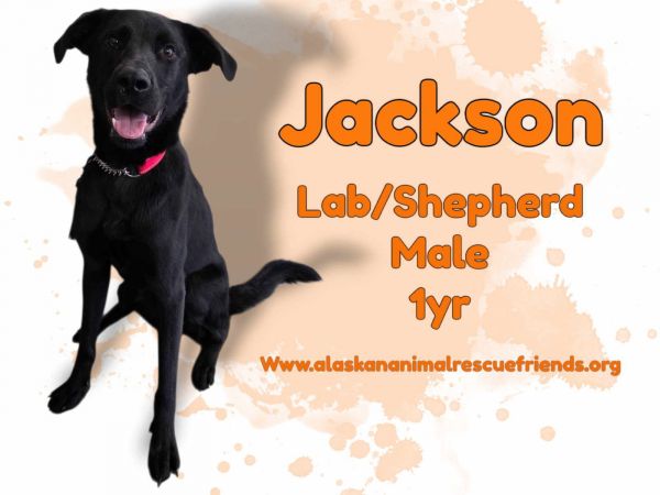 Jackson