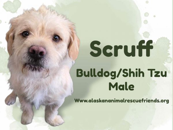 Scruff