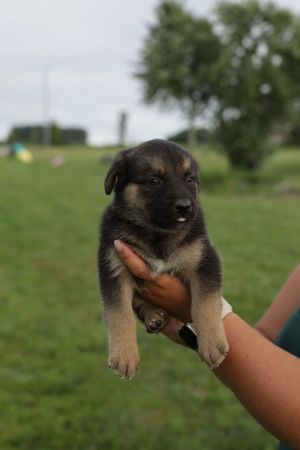 Aurora, Baby Female unknown