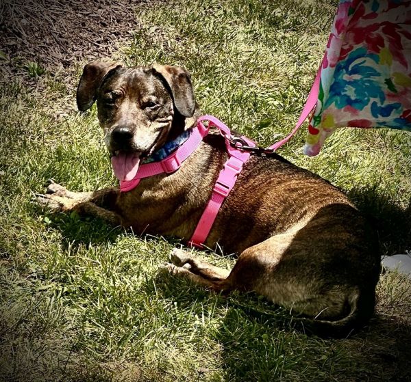 Betty