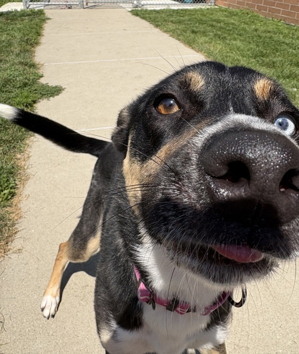 Missy thumbnail 6