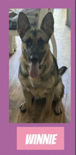 Winnie in RI - Courtesy Post, Young Female unknown
