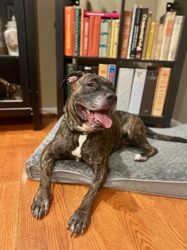 Big Momma thumbnail 2