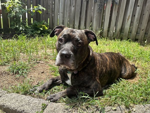 Big Momma thumbnail 3