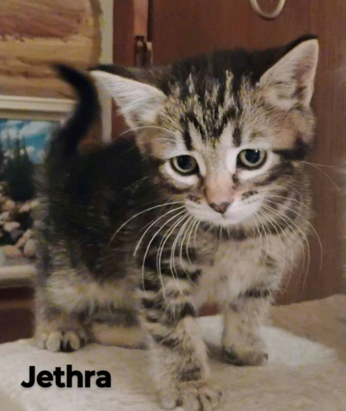 Jethra