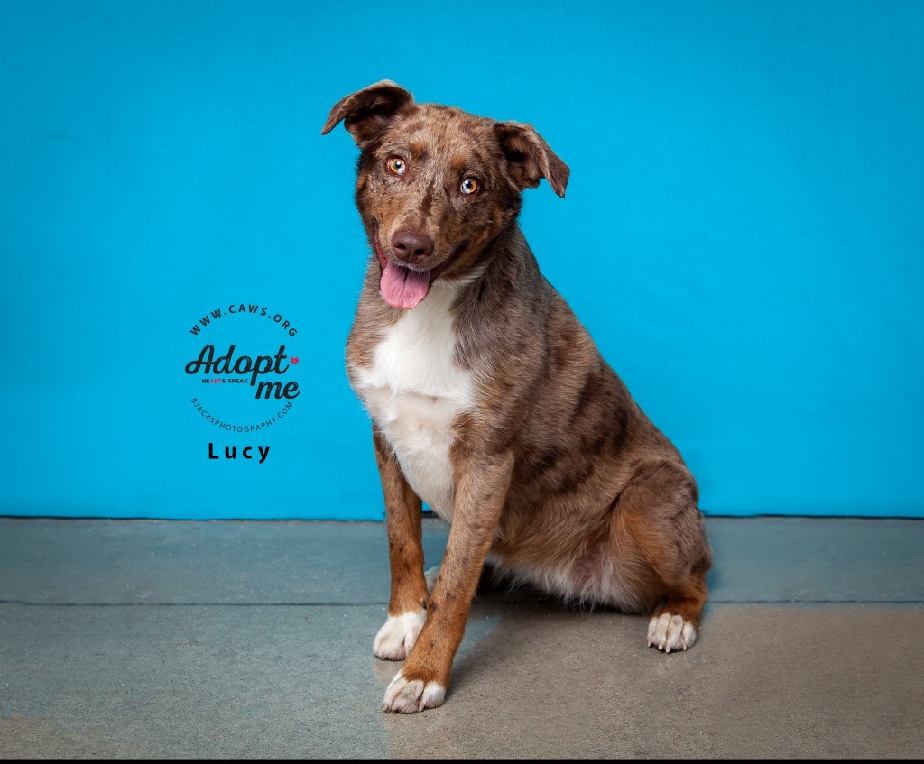 Lucy