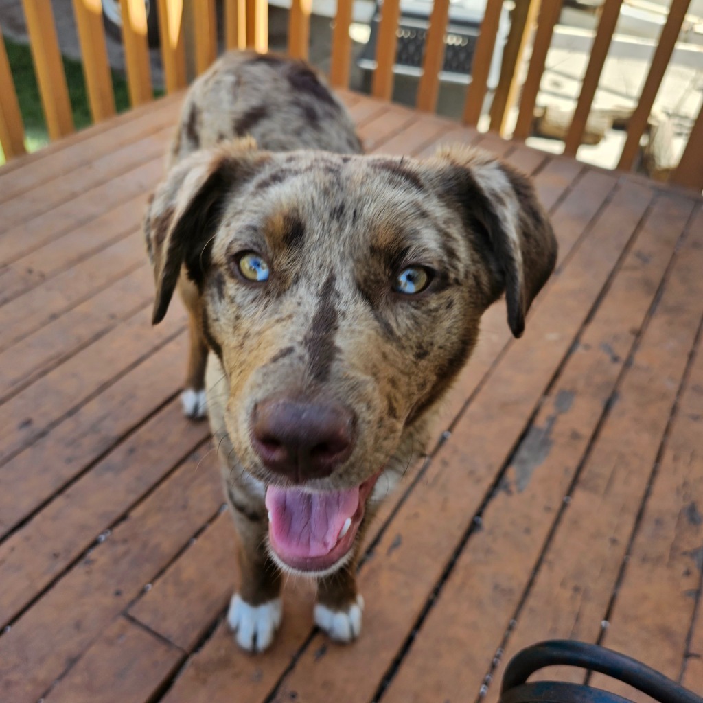 Lucy