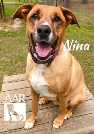 Nina, Adult Female unknown