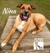 Nina photo 3