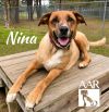 Nina photo 4