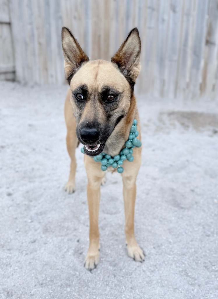 Fiona