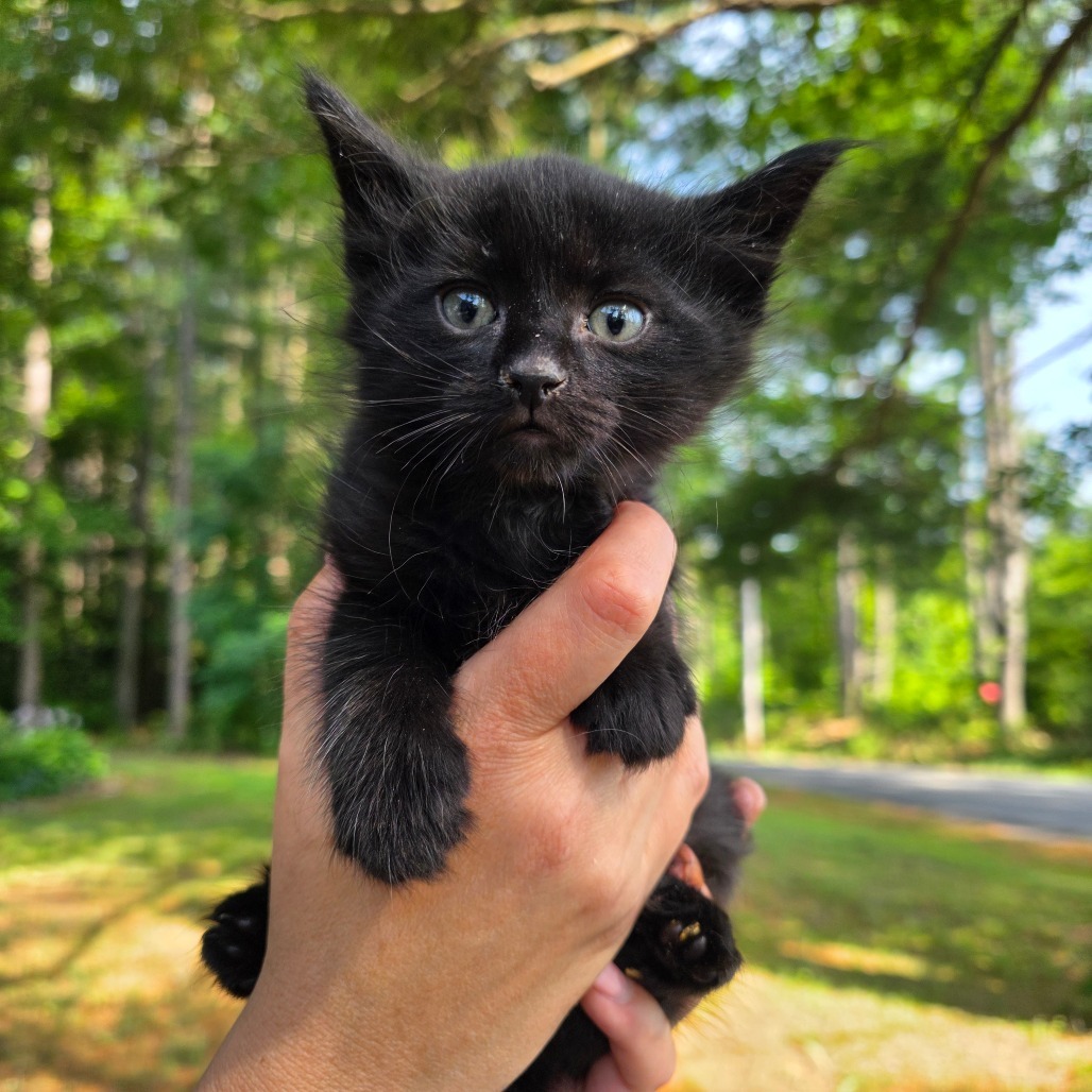Peeta